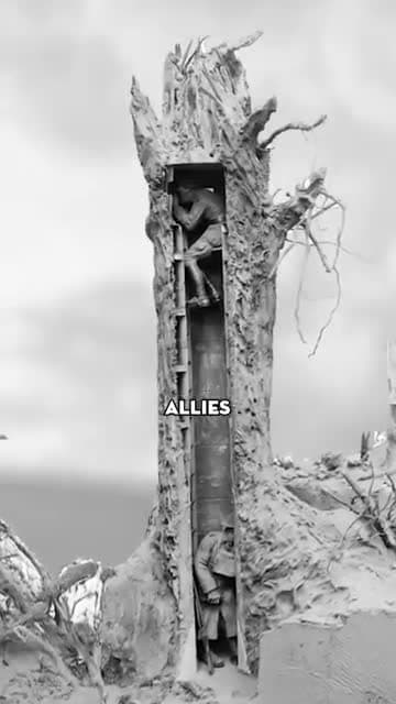 cover for Did you know soldiers used fake trees as secret lookout posts in WWI? Discover the hidden history! 🌳 #History #WW1 #MilitarySecrets