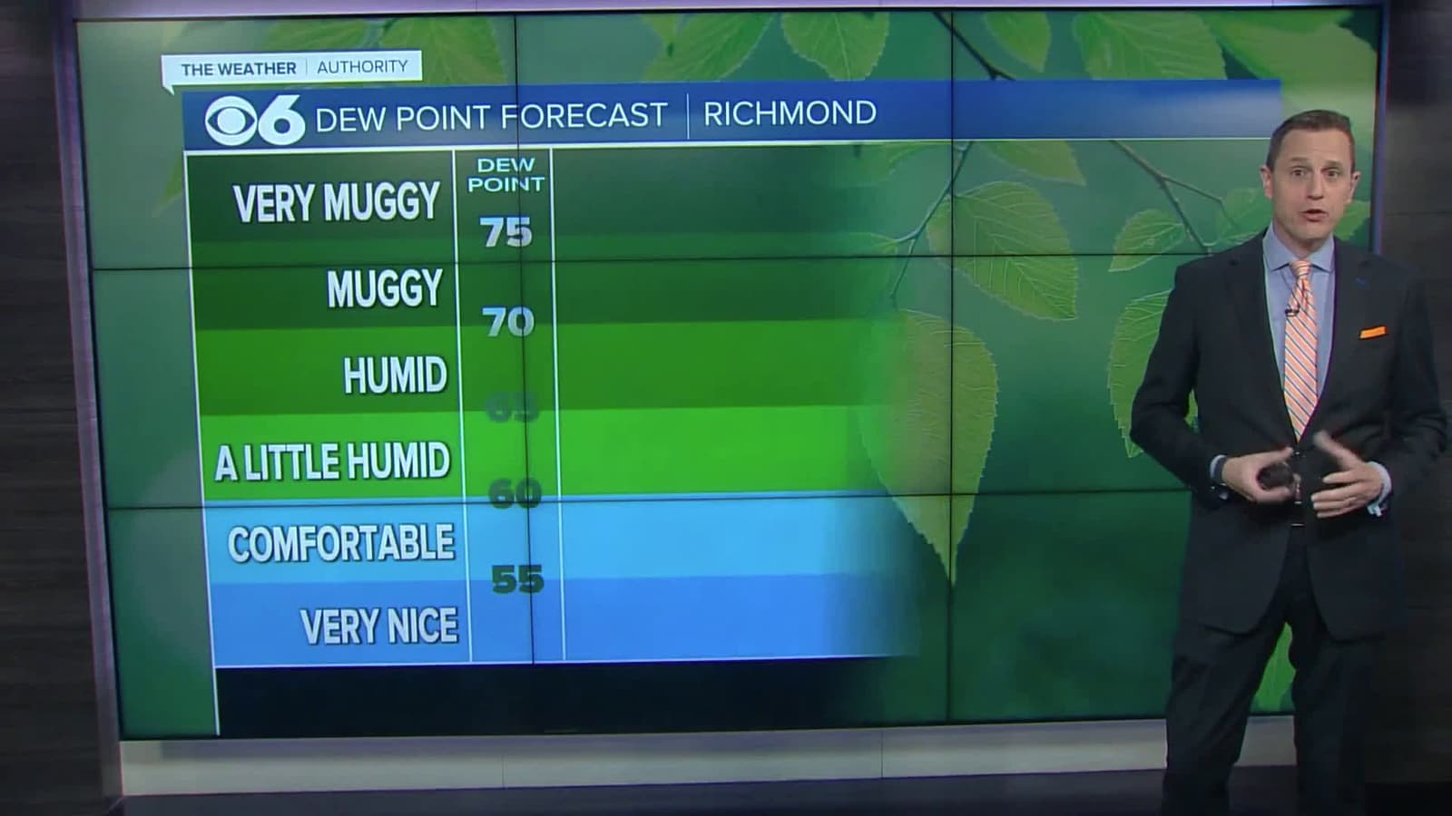 cover for Canadian wildfire smoke brings haze to Central Virginia