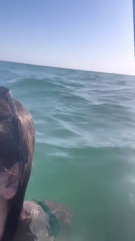 cover for Didn’t realize a shark was right behind me at Anna Maria Island! 😱🦈 #shark #Florida #AnnaMariaIsland