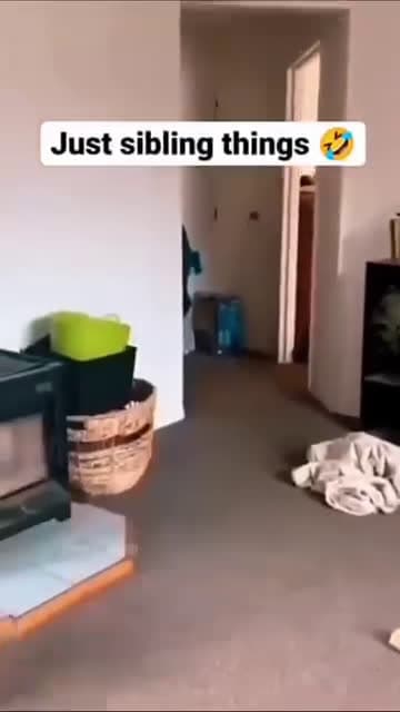 cover for Funny and cute dogs compilation #funnydog #cutedog #dogoftiktok #doglover #dog #dogoftiktok #foryoupage #funnypet #doggo #talkinganimals #foryoupagereels #funnyanimals #foryou 1125