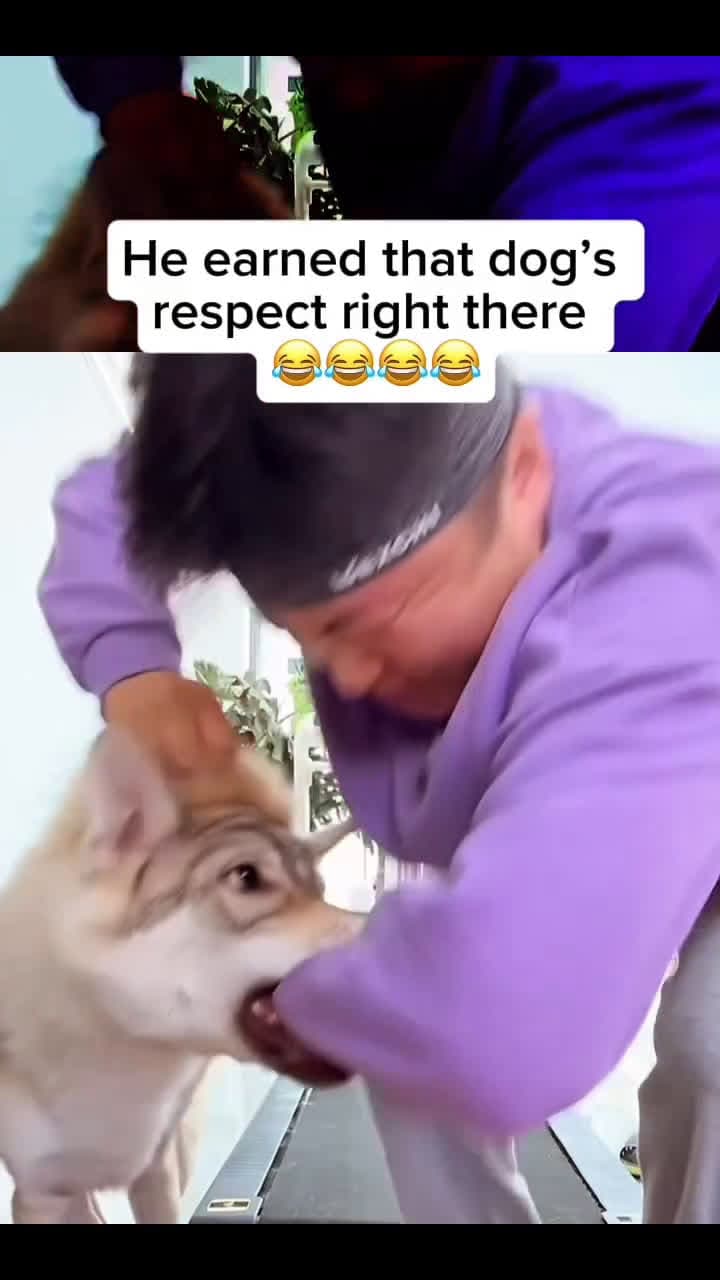 cover for he earned that dog respect right there 😅