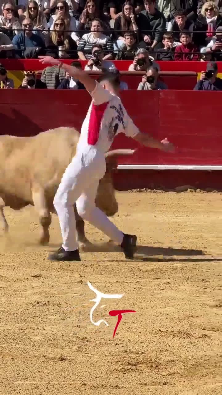 cover for When the bull gets a little too close! 😂🐂 #UnexpectedMoments #AnimalReactions #FunnyAnimals