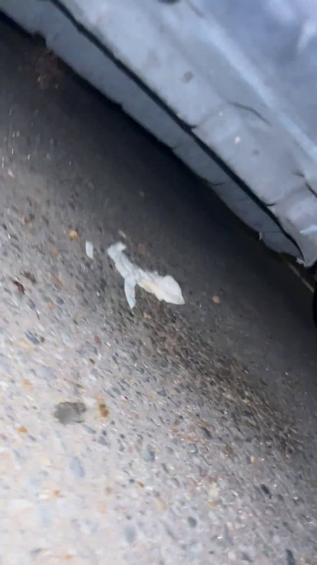 cover for Car bottom scraping the ground! Need urgent tips 🆘 #CarProblems #CarRepair #AutoFix #MechanicHelp