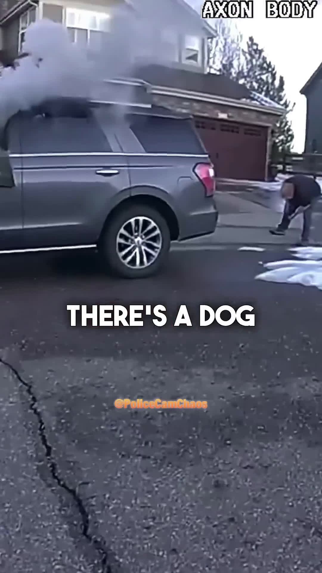 cover for Hero Cop Saves Dog From Burning Car🔥🔥🔥#bodycamera #policeofficer #police #cops #dog #heroic #law 