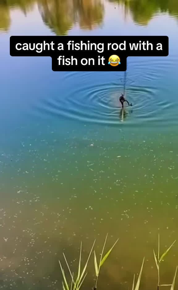 cover for Luckiest fishing catch ever! How do you even do that? 🎣 #fishinglife #funny #fishingfail