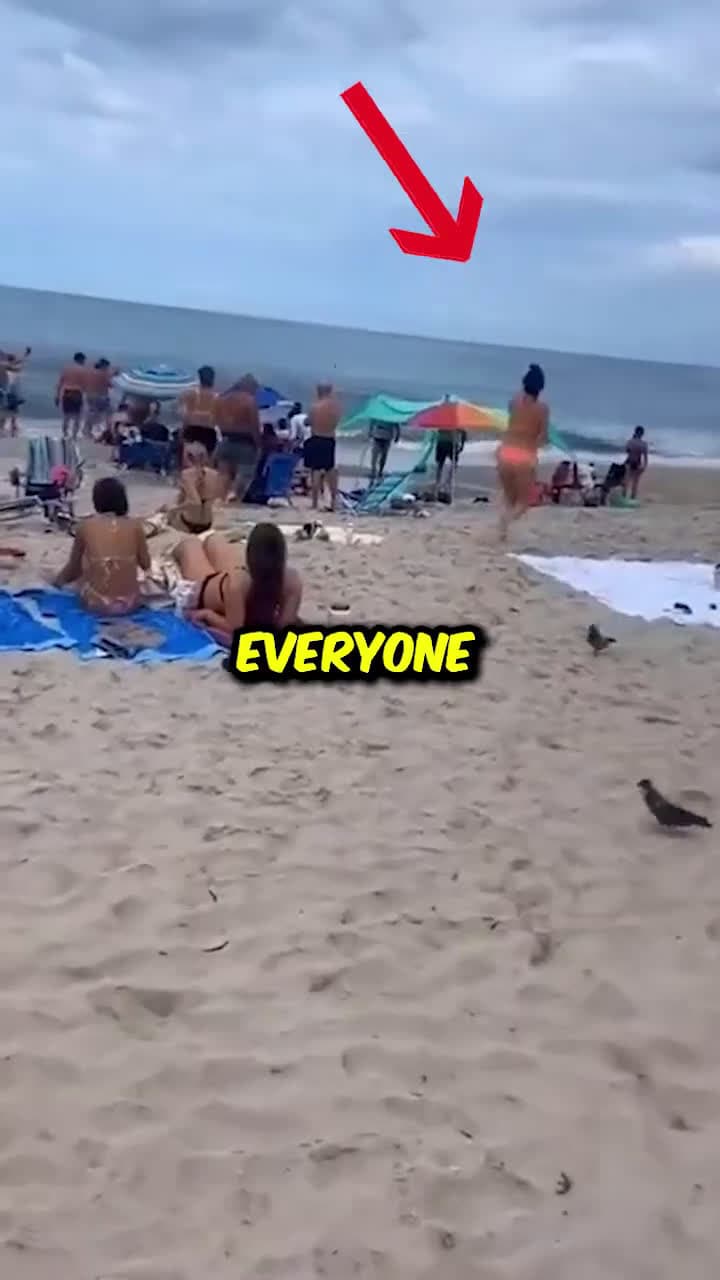 cover for A Big Problem Happened On This Beach