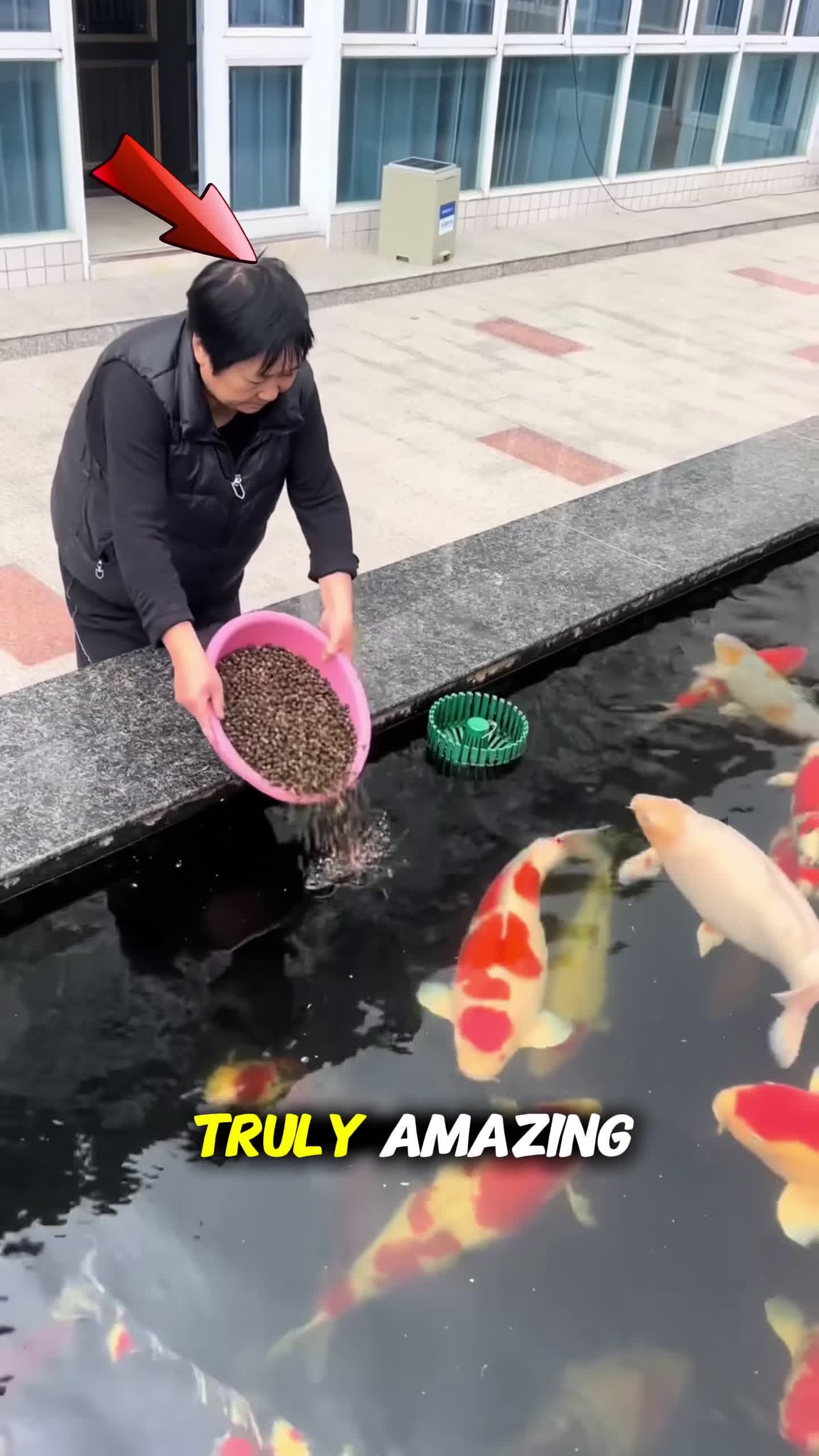 cover for This Grandmas FISH FARM on Her Roof is AMAZING