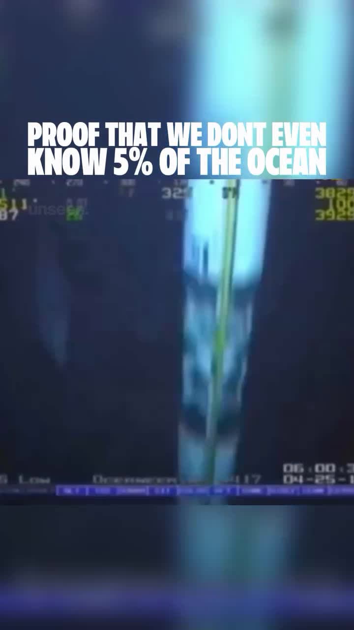 cover for In rare deep-sea footage captured by a Remote Operated Vehicle (ROV) near an offshore oil platform, observers spotted a massive tuna estimated at nearly 18 feet long. To put that into perspective, most Atlantic bluefin tuna gro...