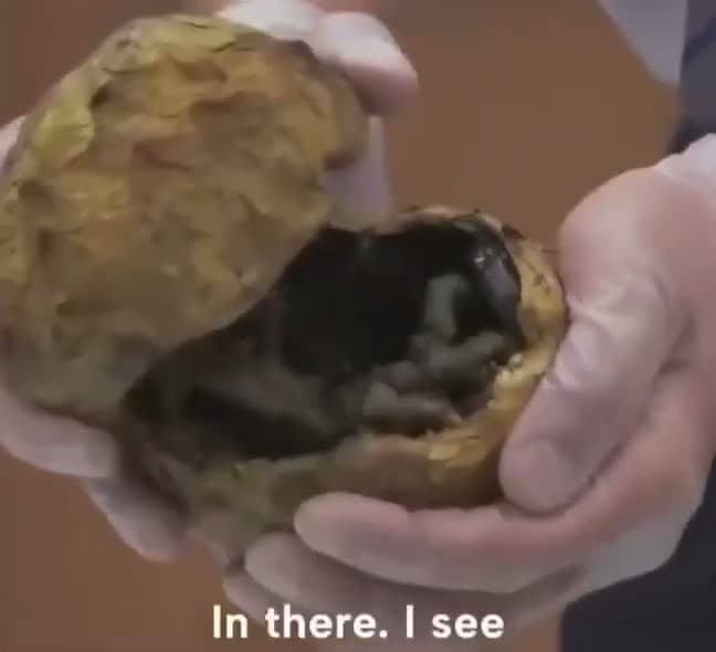 cover for Nope nope nope