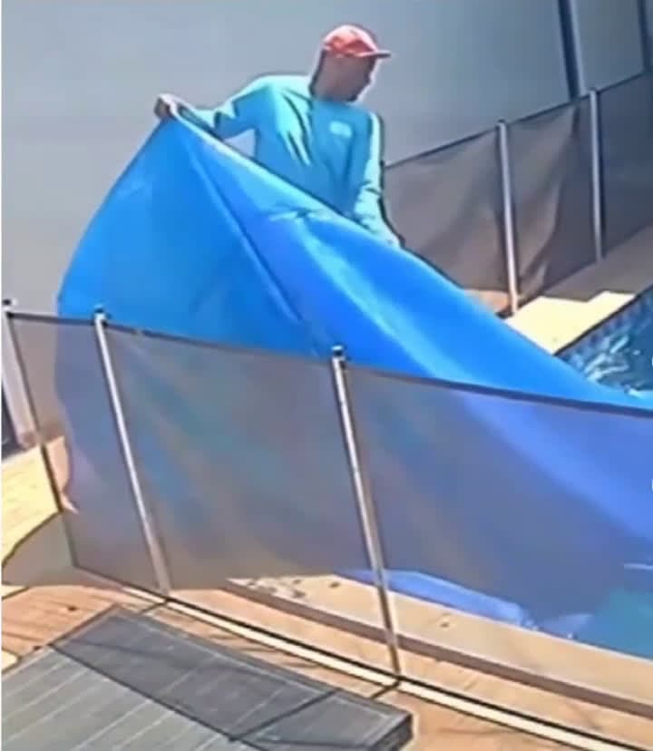 cover for Heroic pool cleaner saves unconscious puppy from the deep 🐶❤️ #Heartwarming #Rescue #PuppyLove #AnimalHero