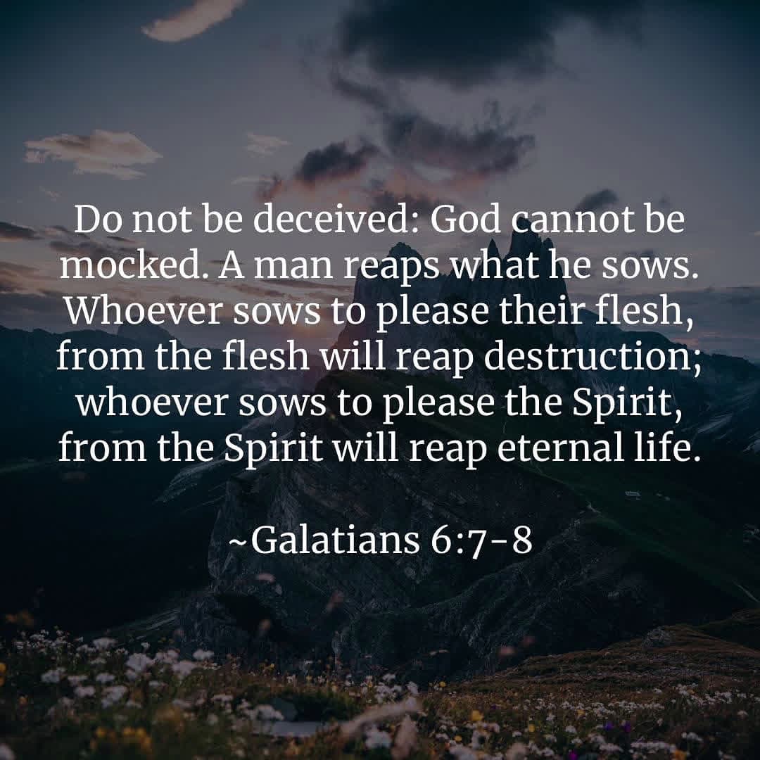 cover for #dailyscriptures #bible  #bibleverse  #god  #godisgood  #godsplan  #jesus  #jesus  #jesuslovesyou  #jesuschrist  #jesussaves  #everyone 