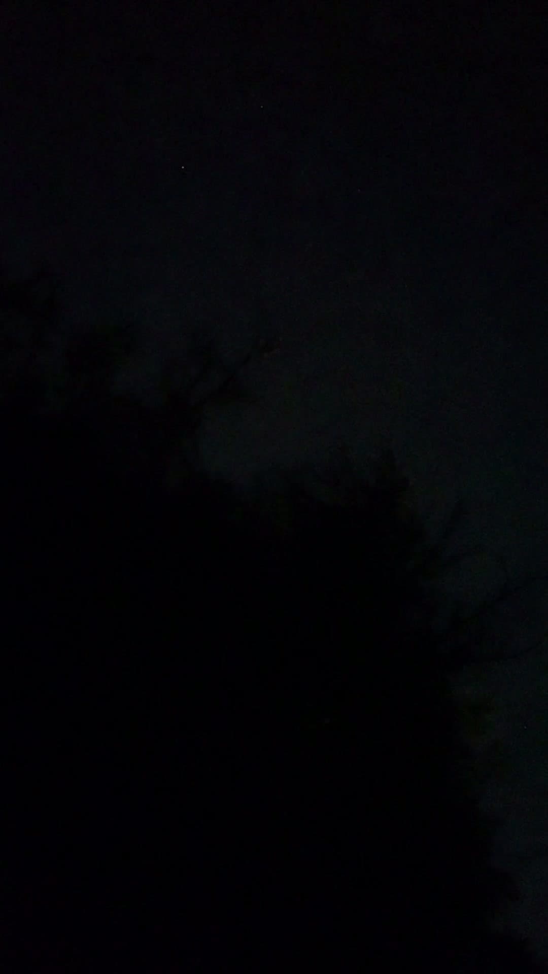 cover for What bird is making these mysterious sounds? 🦜🔊 #BirdSounds #NatureMystery #Wildlife