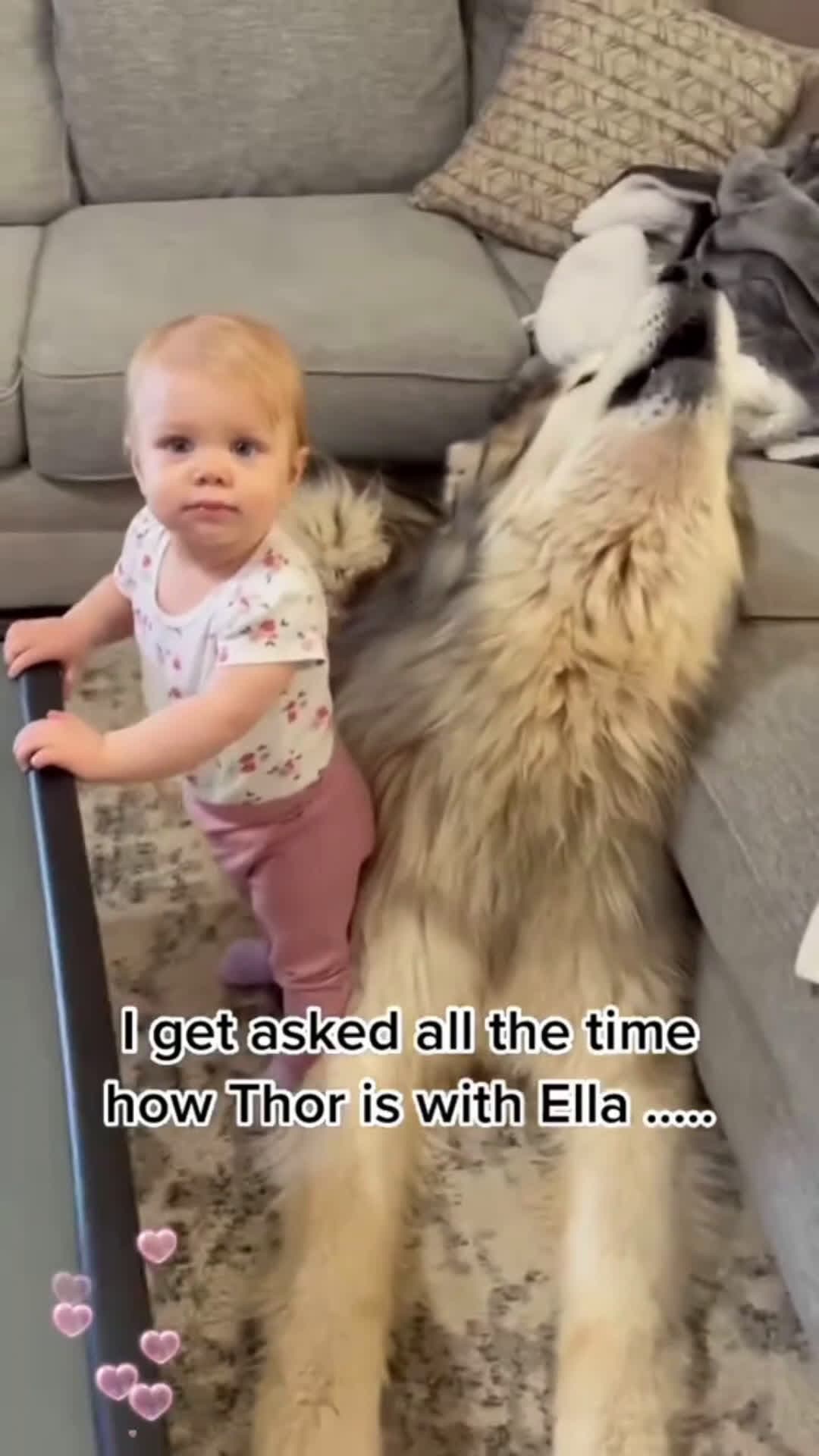 cover for Best friends #pet #dog #Love #tiktok  #foryou #baby  #scoopzanimal 