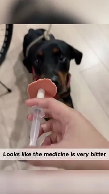 cover for Trying to give dogs her medicine 😀 😄 😁 