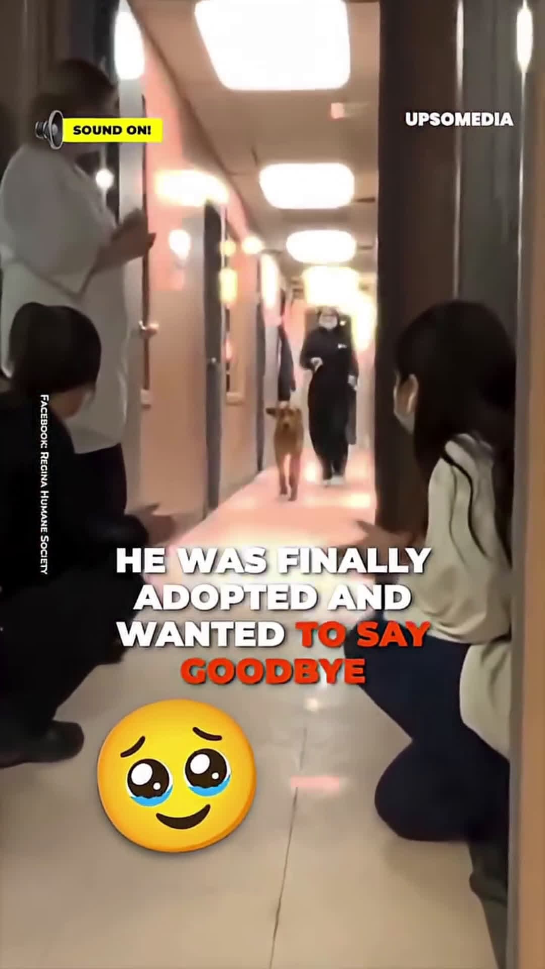 cover for Puppy says goodbye to his caretakers after being adopted #scoopzanimalvideo 