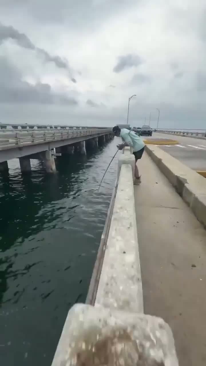 cover for #CaughtOnCamera  Wow Biggest Fish Ever Caught #Fishing #viral #camera #video