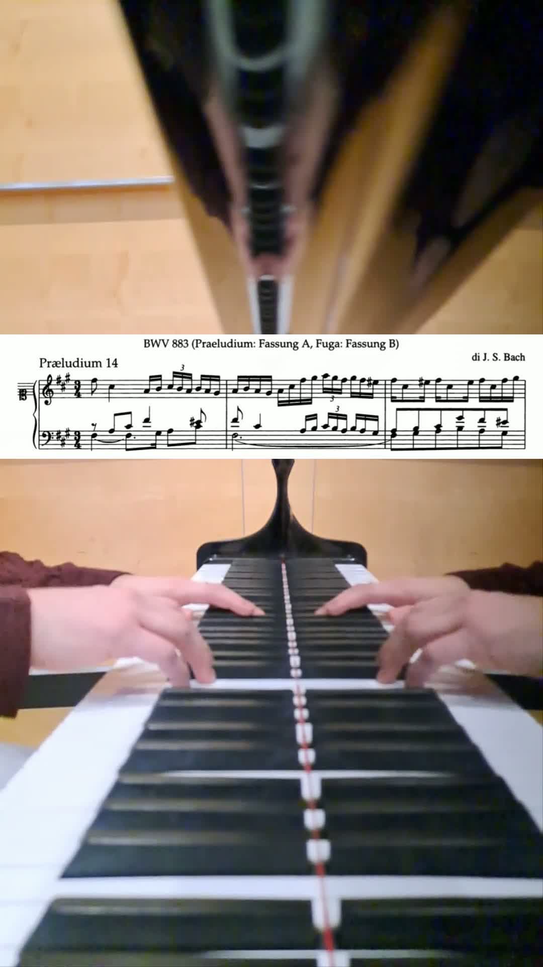 cover for Melancholic Bach vibes perfect for a rainy day ☔🎶 #Bach #ClassicalMusic #RainyDay #ChillTunes