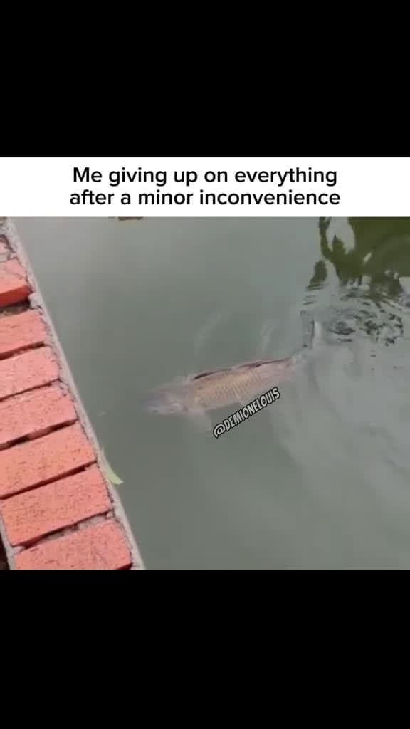 cover for Adulting be like #capcut #fyp #foryoupage #meme #viral #happy #adultingbelike