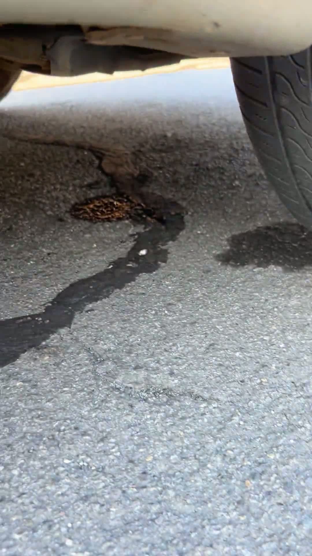 cover for Got an oil change and now my car won’t start 😳 How bad is this? #CarTrouble #OilChangeFail #MechanicProblems