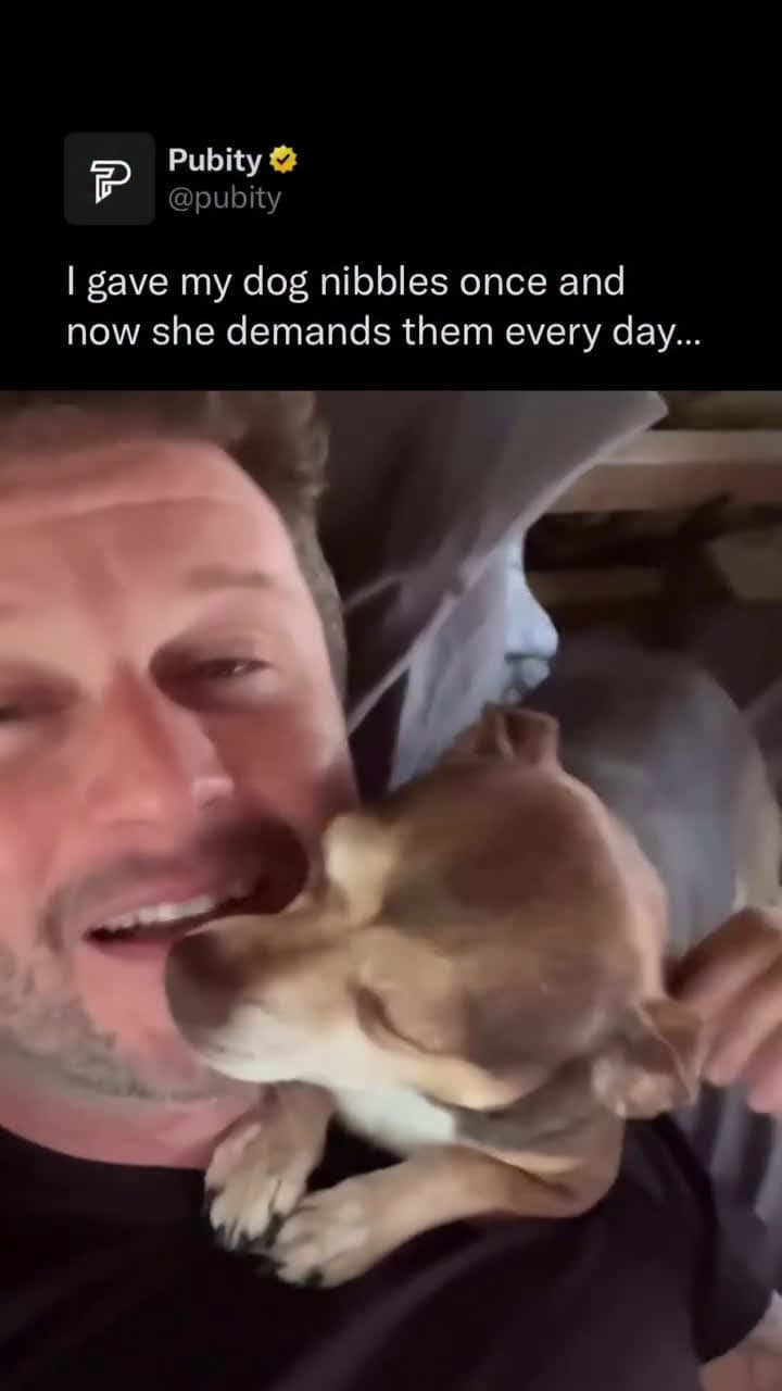 cover for Dogs have earned the title of mans best friend for a reason. Their loyalty, companionship, and ability to read human emotions make them more than just pets, they become part of the family. Whether they are sittin #OddlySatisfying