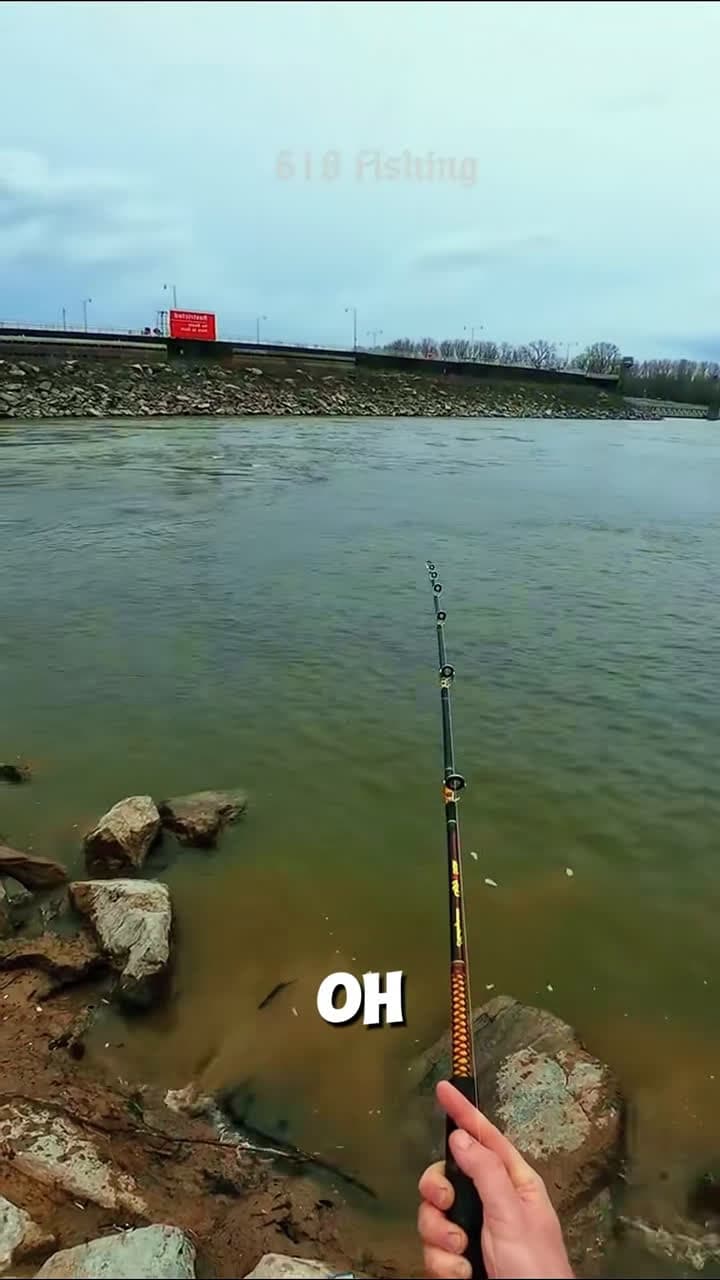 cover for Caught the BIGGEST fish ever! 🐟 #Fishing #BigCatch #618Fishing