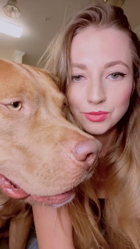 cover for My obsession  fyp petlover dogsoftiktok dlaciebie foryoupage foryou pitbullmama o 55749 #shortvideosscoopz