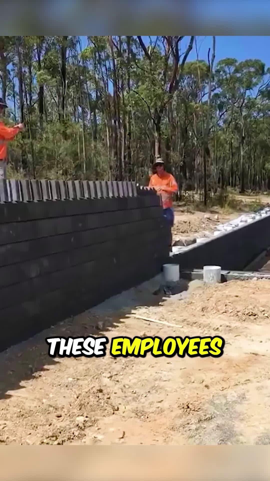 cover for These Workers Have 200 IQ