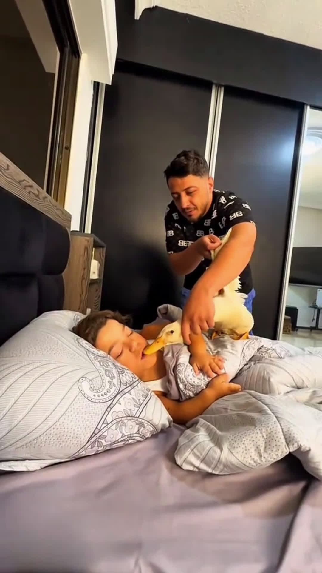 cover for #crazy  #crazyprank #funny #prank #comedy 