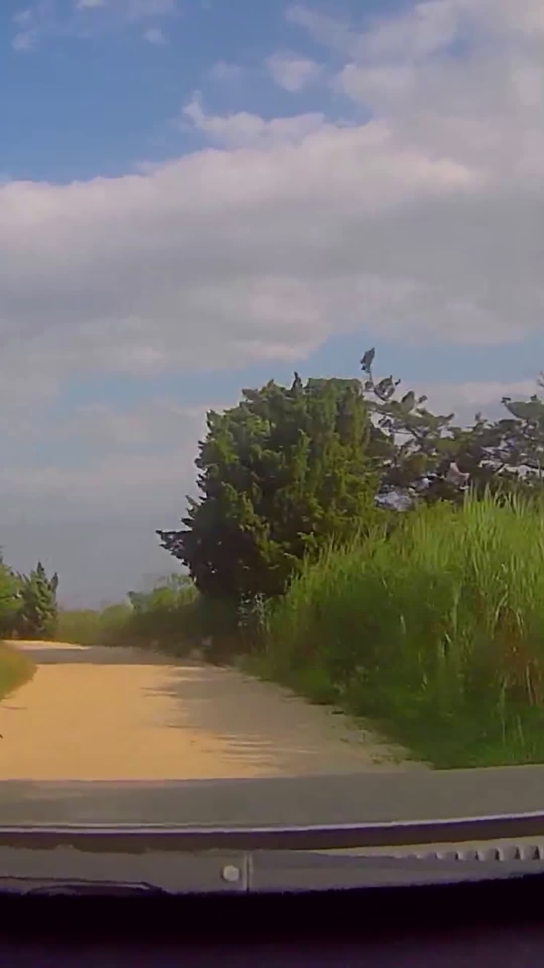 cover for Side Road by Oyster Creek Road  #nj #newjersey #driving #dashcam #video #scoopz #oystercreek 