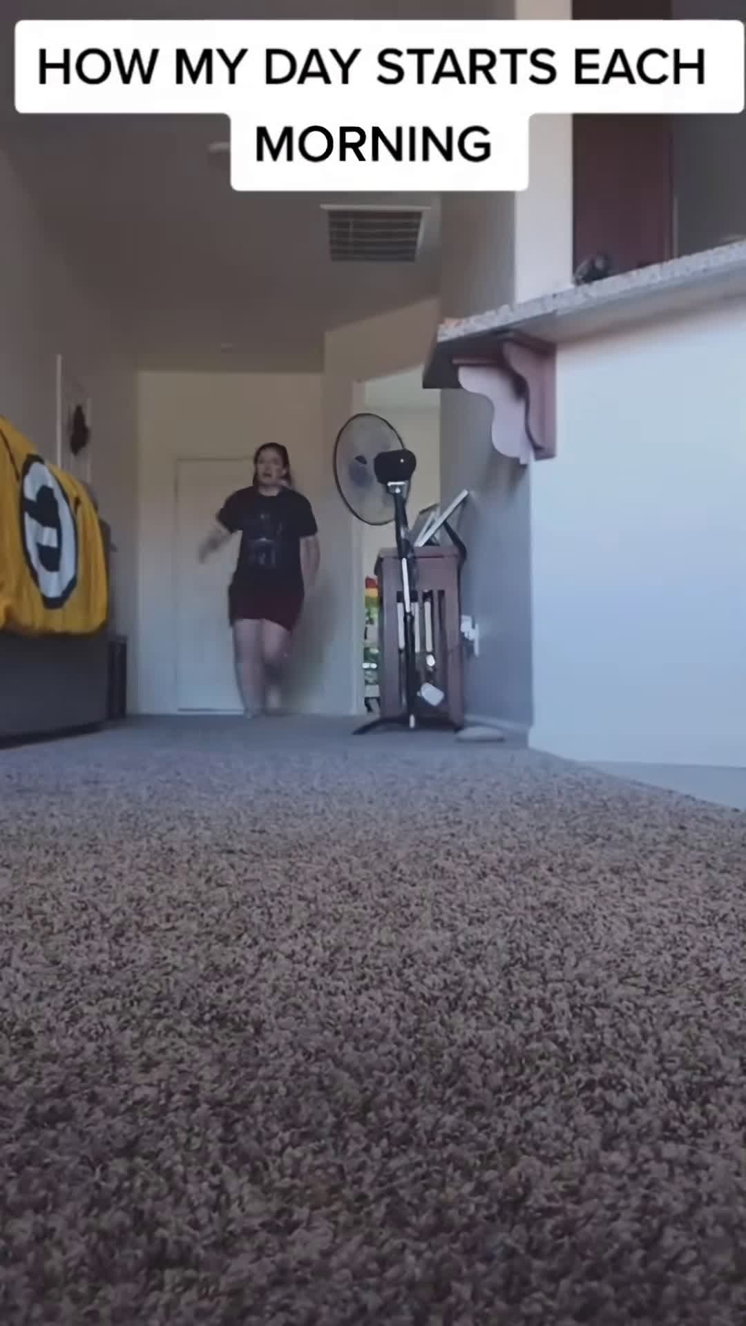 cover for Funny hound #funny #dog #funnyvideo #doglover #dogrescue #funnydog
