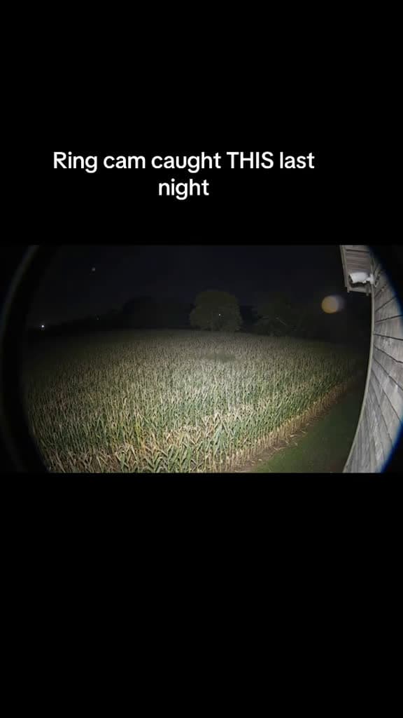 cover for Tell me I’m not crazy… what would you do if this showed up on YOUR Ring feed?? #ringcam #ufo #viral 