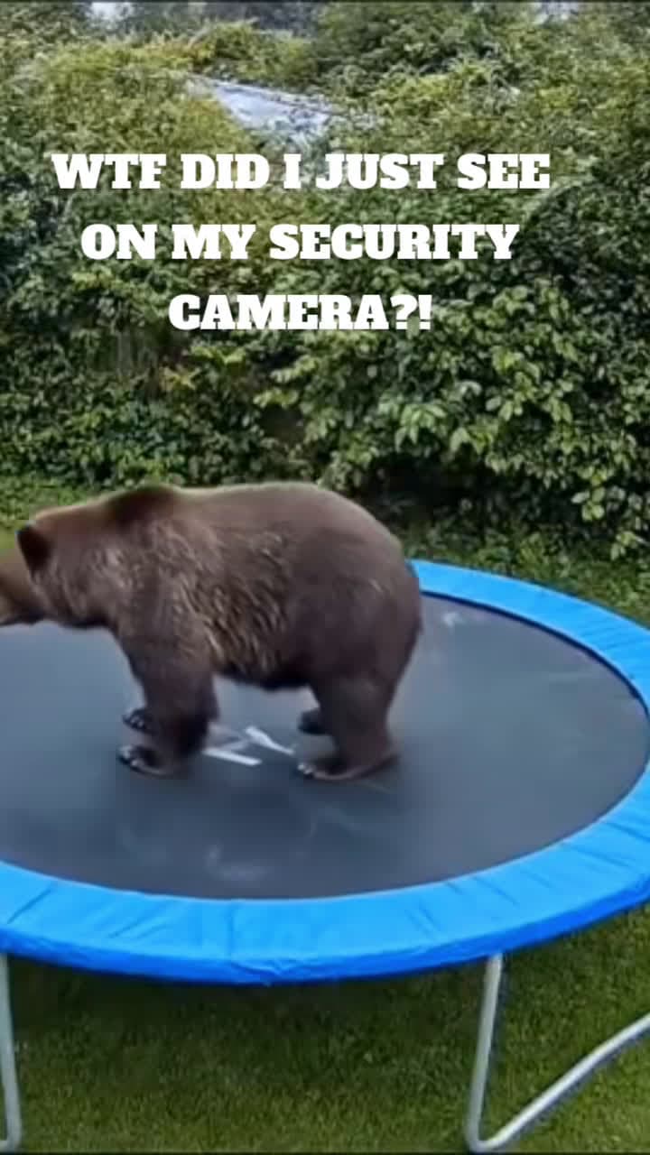 cover for Wait, what did I just watch? 😂 #funnyanimals #hilarious #fyp