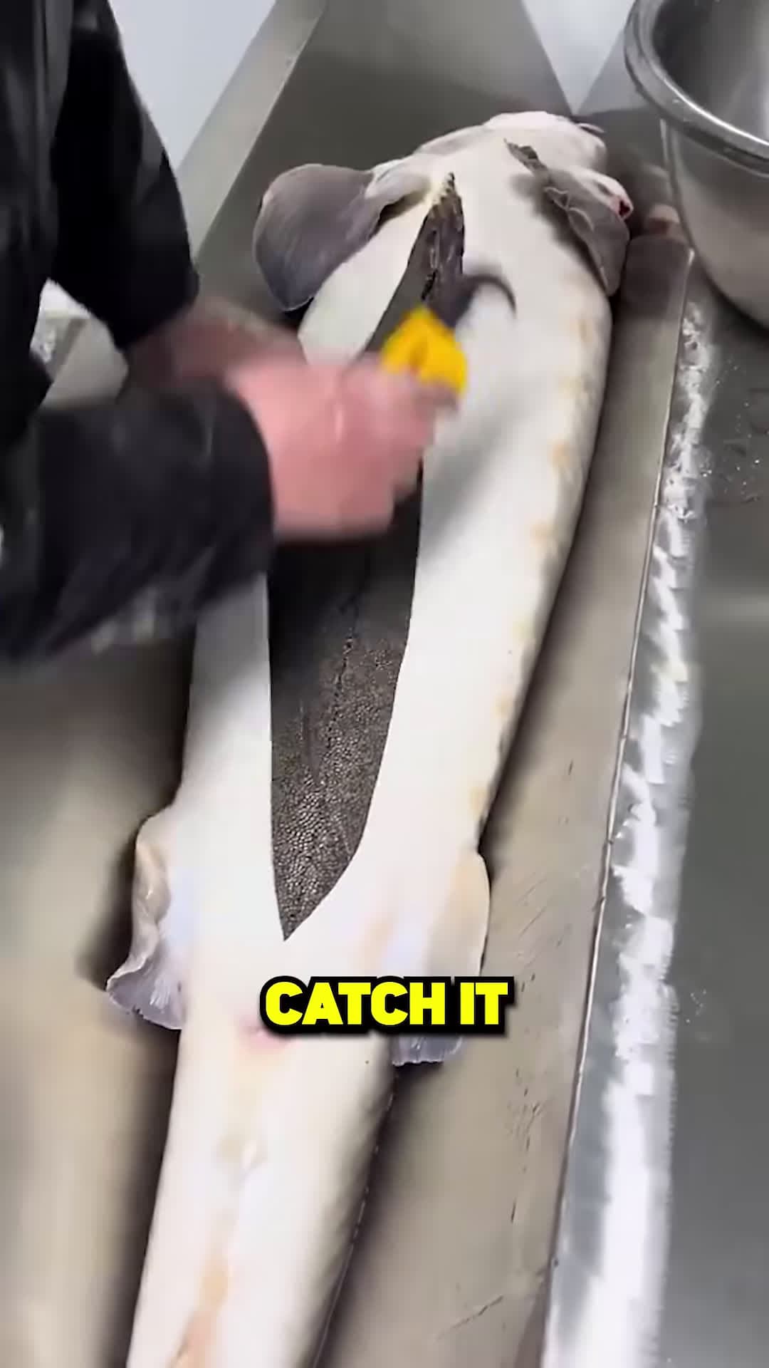 cover for This Fish Will Change Your Life Forever