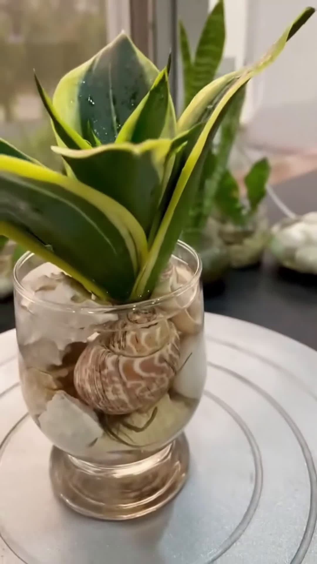 cover for Stunning Indoor Plants Thriving Decorating in Water  #everyone #decor  #houseplants #homedecor #plants #diy #ideas 