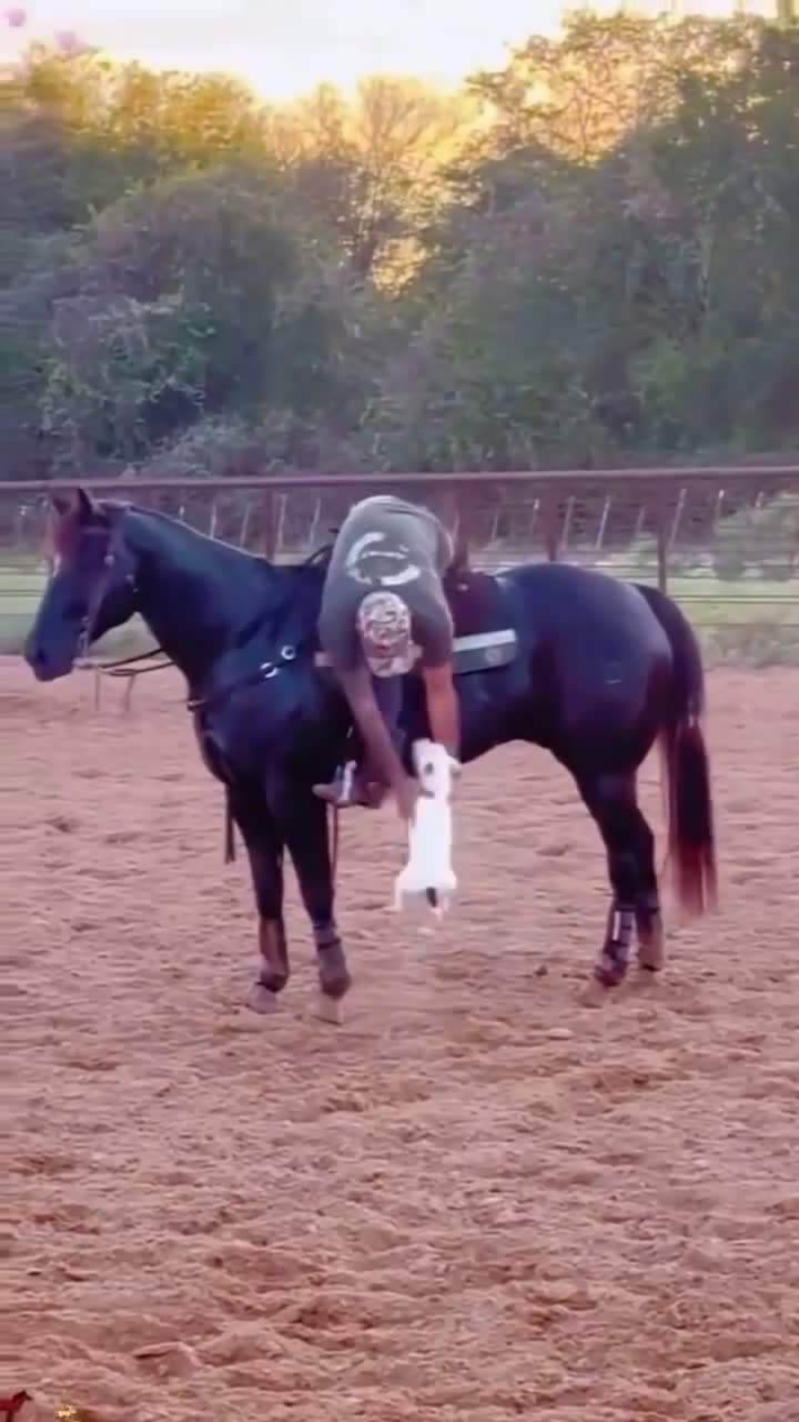 cover for True Bonding #FunniestVideoOnMyPhone#OddlySatisfying