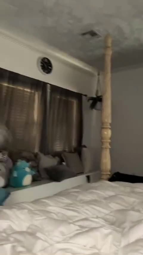 cover for TikTok we are just playing please don’t take this down again. #fyp #foryou #tiktok #monkey #spidermonkey #playing #like #comment #cute