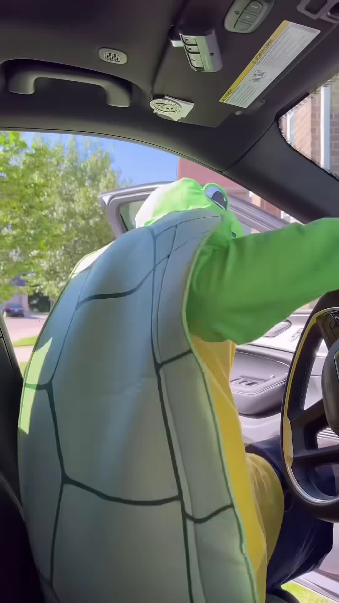 cover for GIANT TURTLE STOLE MY CAR shorts