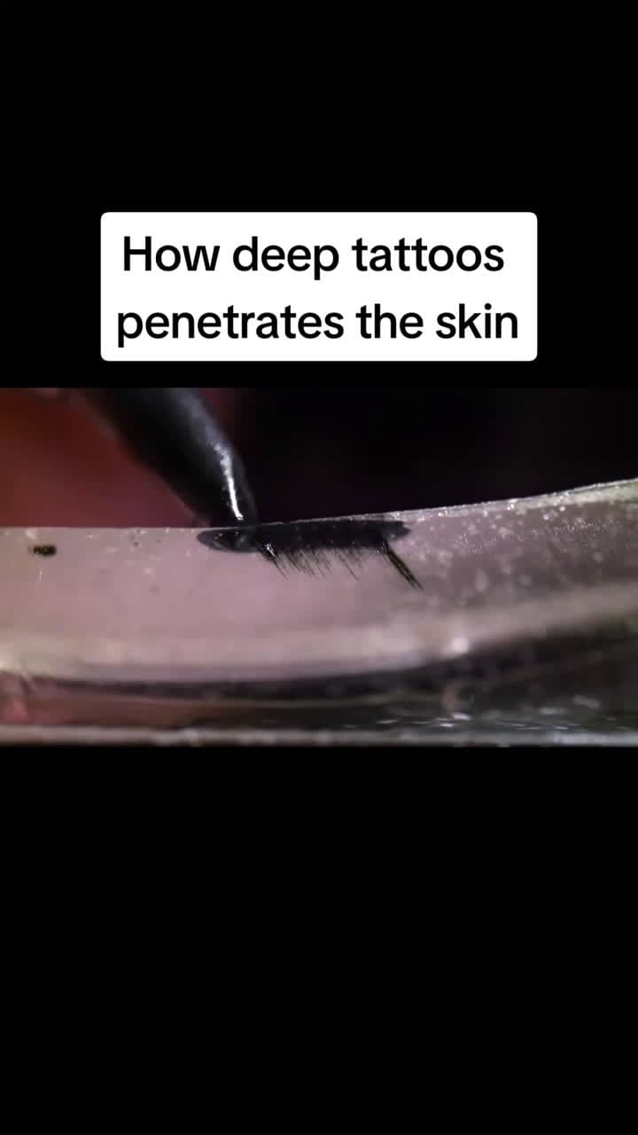 cover for Watch tattoo needles in stunning slow-motion as they dive into your skin to make ink permanent! 🖊️ #SlowMo #Tattoo #Science