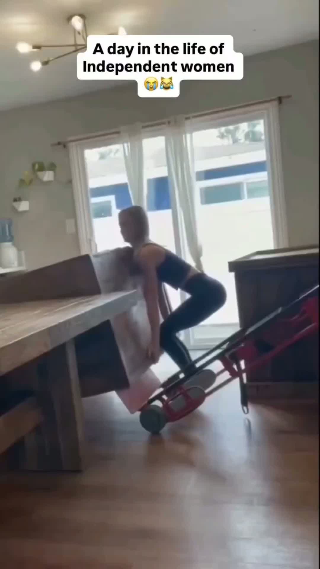 cover for #TooFunnyToScroll  #fyp  #funny  #funnyvideos 