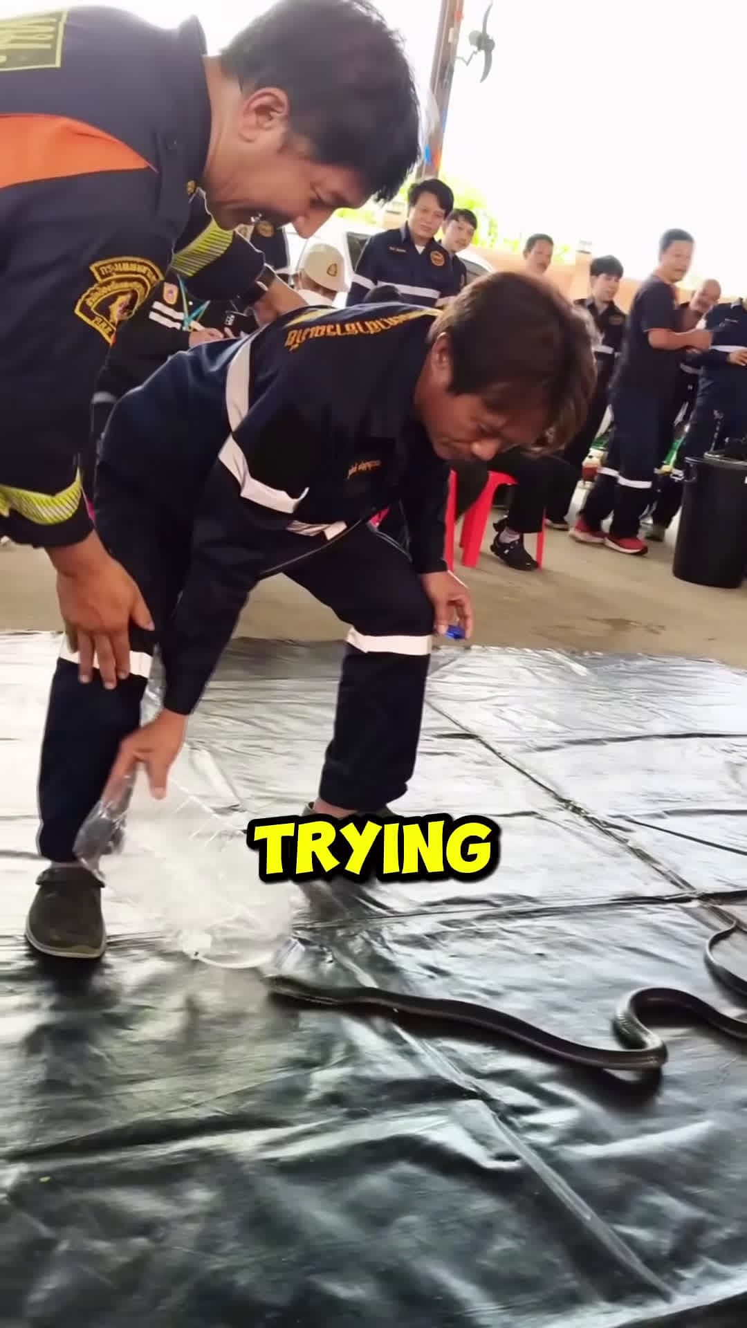 cover for This Firefighter Must Calm this Snake