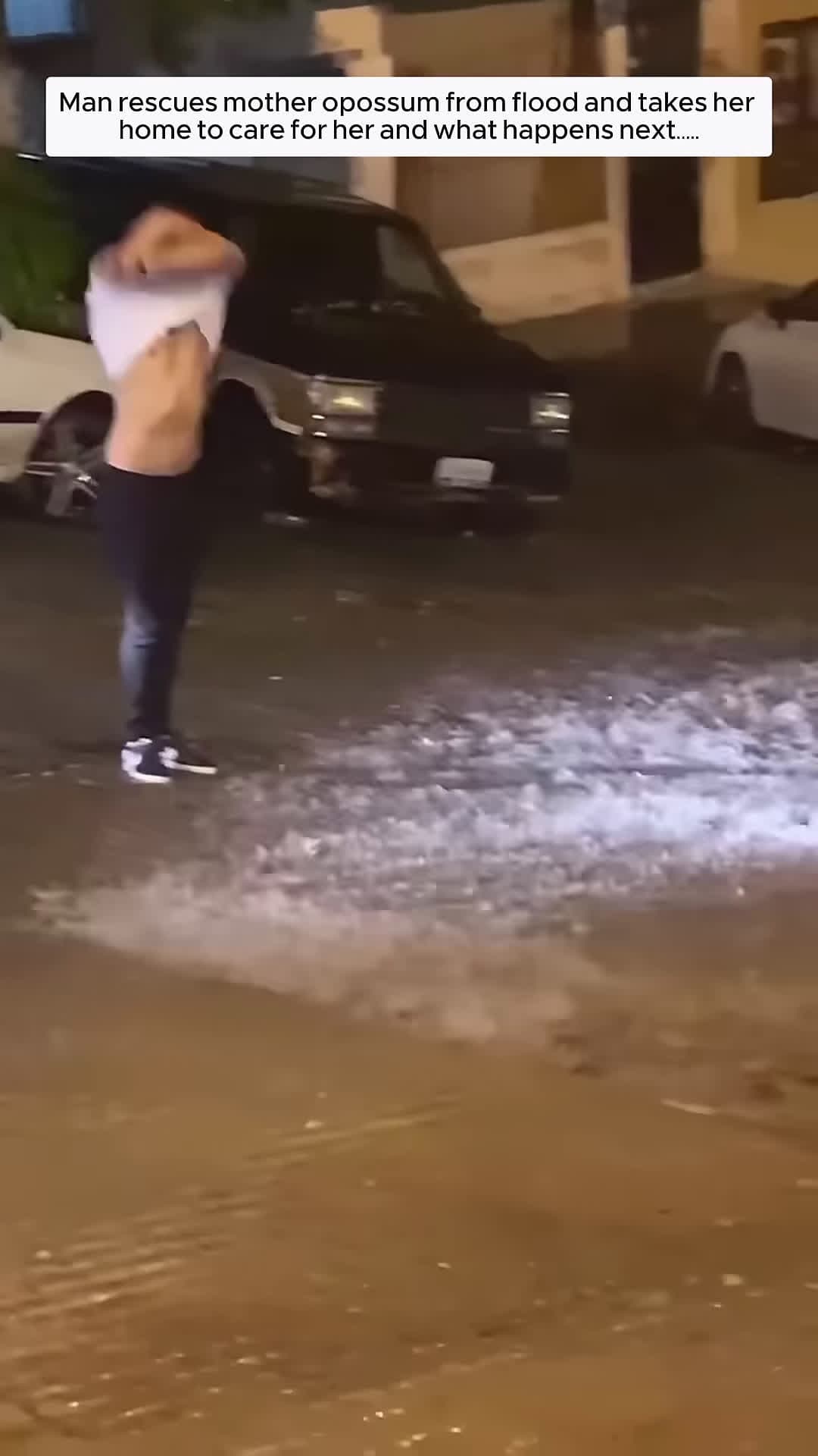 cover for man rescues mother opossum from flood and takes her home to care for and then