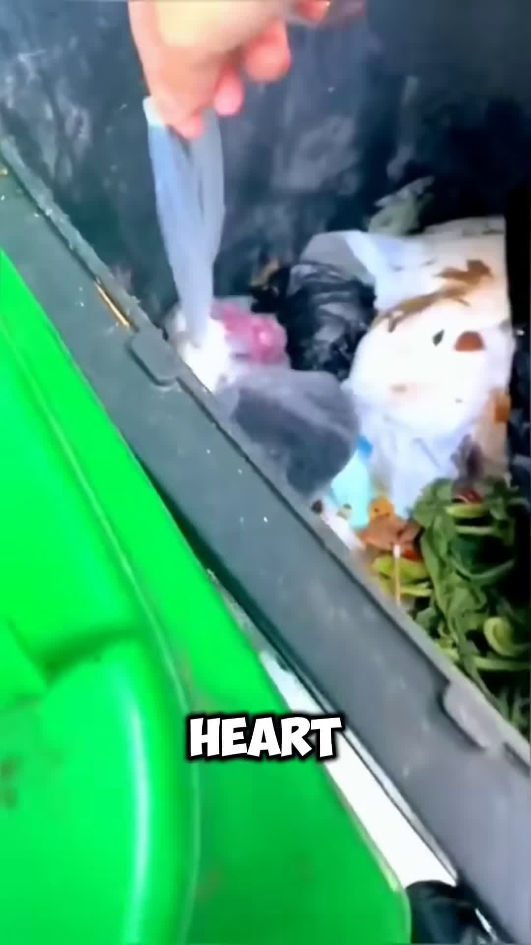 cover for She Found a Puppy in the Trash Bag What Happened Next Will Melt Your Heart
