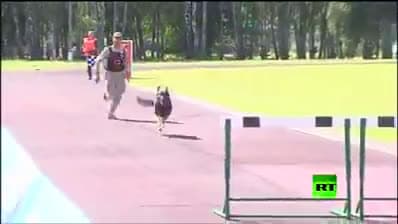 cover for Video 7098
