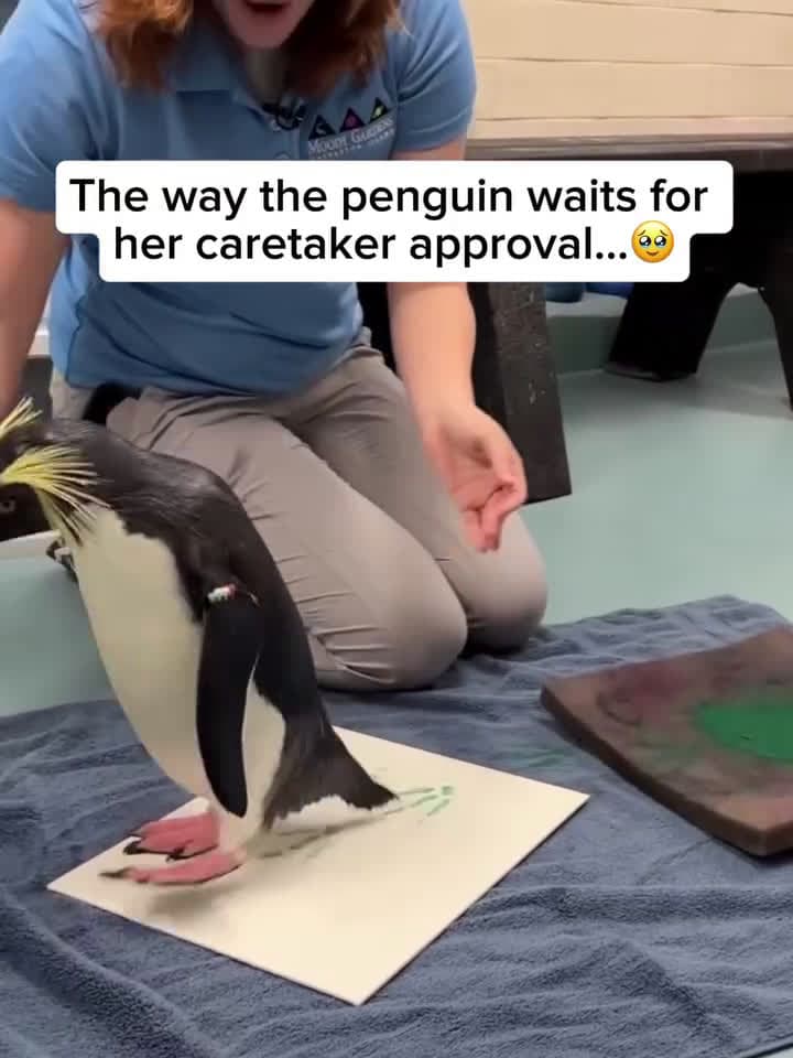 cover for the way the penguins wait for her caretaker approval