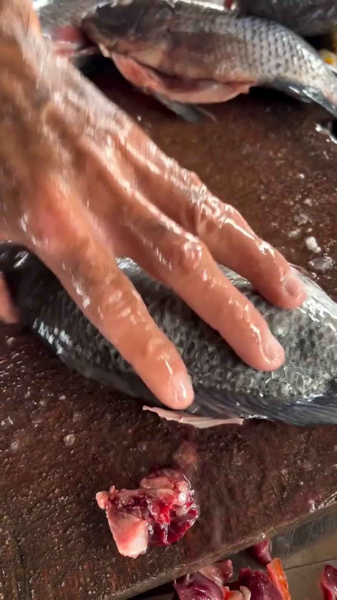 cover for #food #fish
