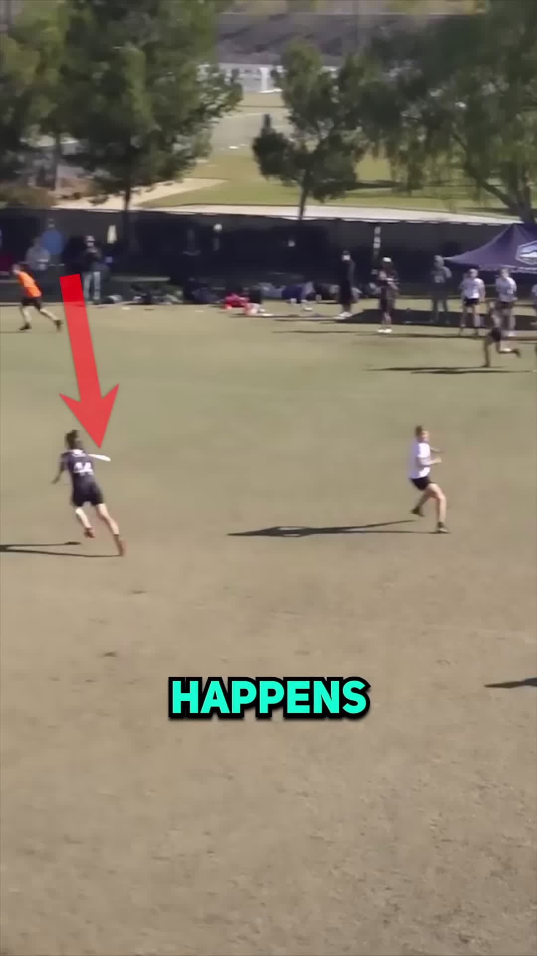 cover for This Sport Is INSANE ultiworld