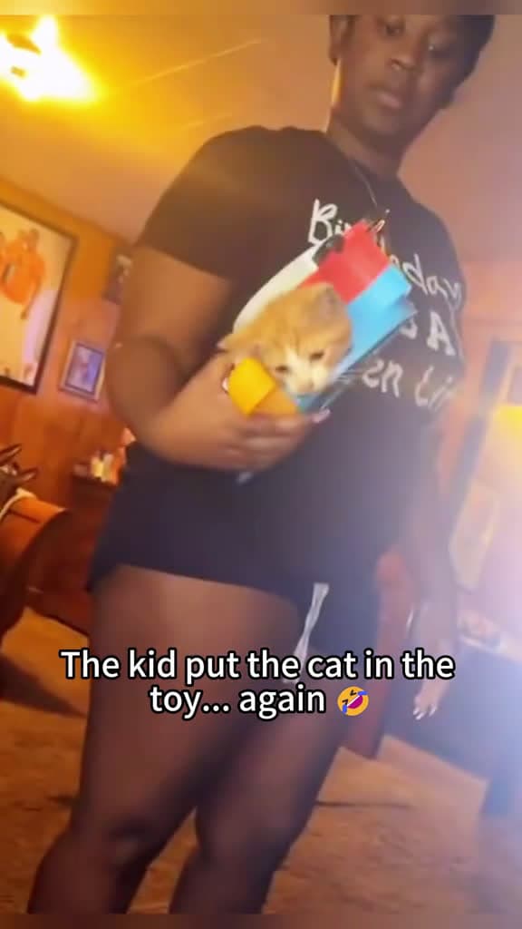 cover for The chaos duo baby cat cat cats catsoftiktok catslovers 48062 #trending