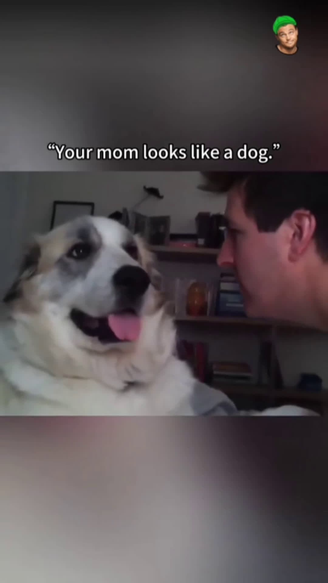 cover for Happy Monday 😄 #TooFunnyToScroll