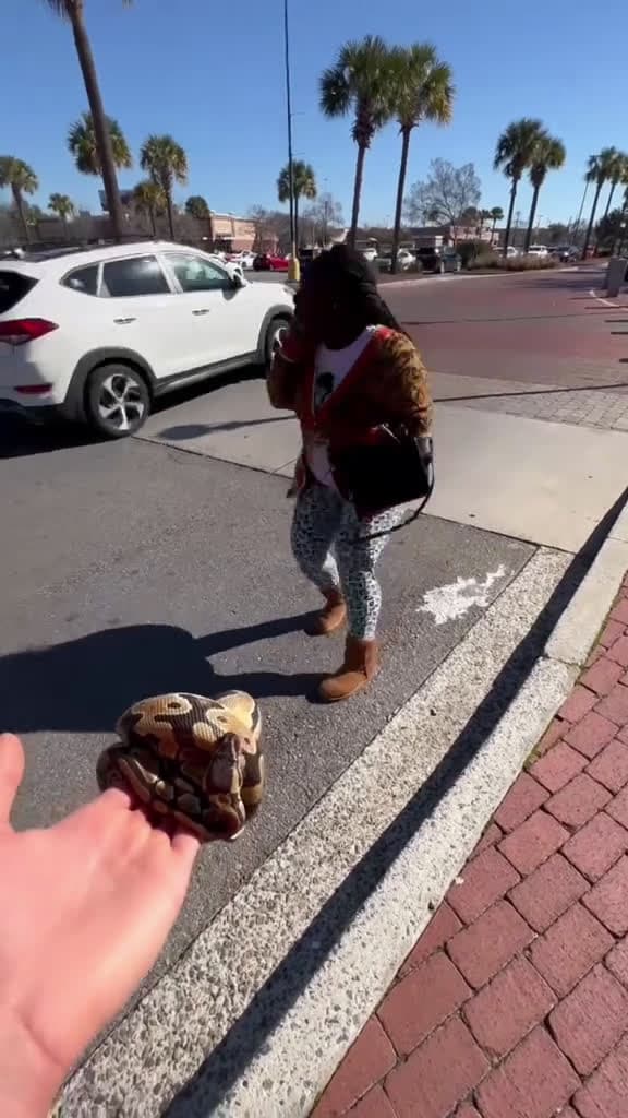 cover for WILL YOU HOLD MY SNAKE PRANK GONE WRONG STAGED fyp foryoupage viral relatable fun 07342 #trending