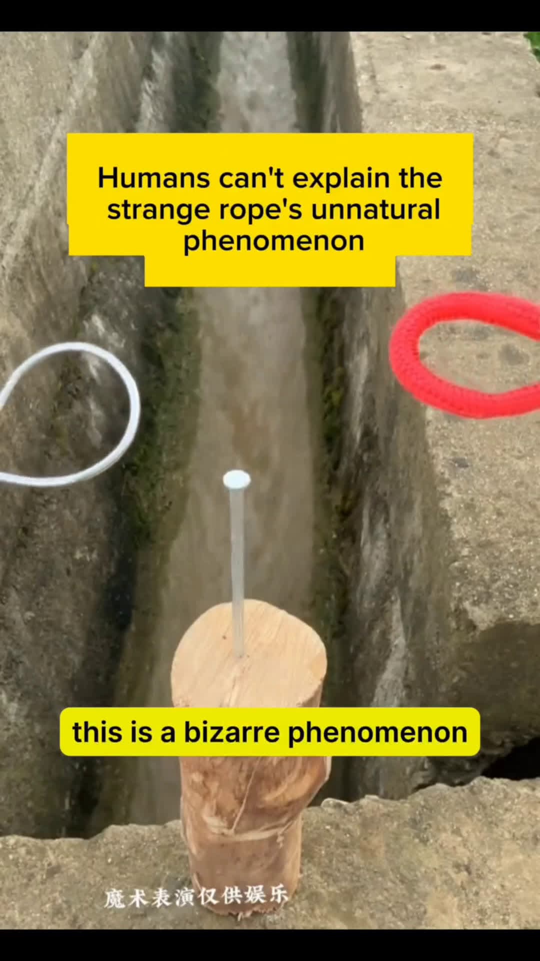 cover for can you explain this  #fyp #viral  #scoopz 
